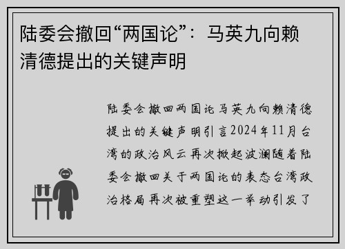 陆委会撤回“两国论”：马英九向赖清德提出的关键声明
