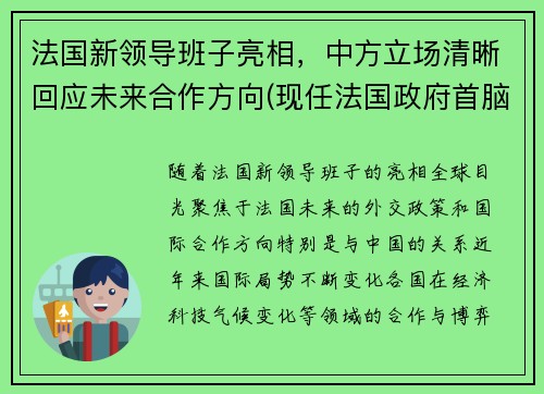 法国新领导班子亮相，中方立场清晰回应未来合作方向(现任法国政府首脑)