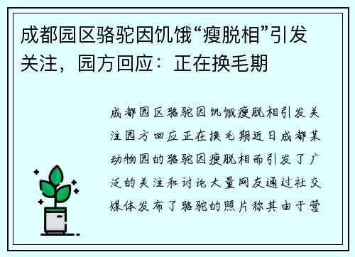 成都园区骆驼因饥饿“瘦脱相”引发关注，园方回应：正在换毛期