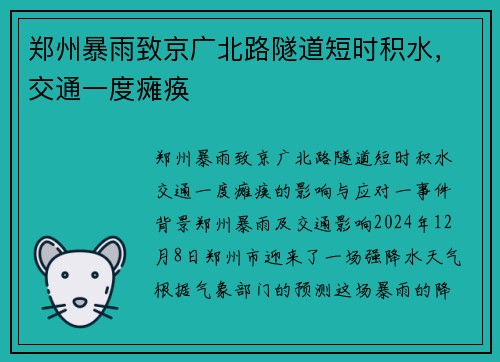 郑州暴雨致京广北路隧道短时积水，交通一度瘫痪